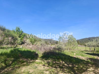 /international/fr/albas-languedoc-roussillon-310108452938/