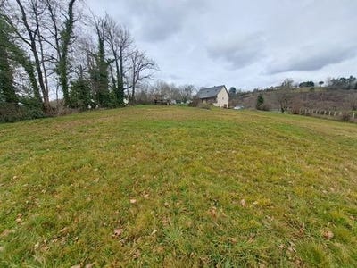 /international/fr/juillac-limousin-310099951325/