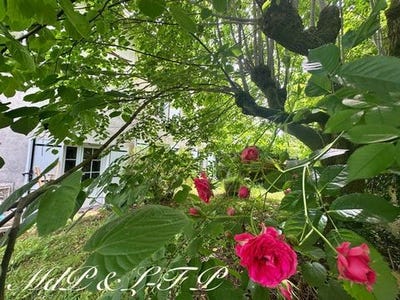 /international/fr/eynesse-aquitaine-310100016454/