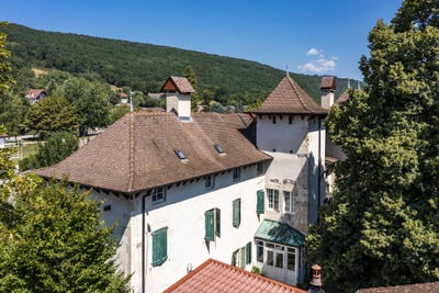 /international/fr/grilly-rhone-310119553671/