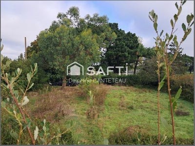 /international/fr/angles-pays-de-la-loire-310104799189/
