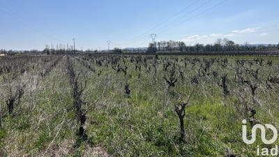 /international/fr/codolet-languedoc-roussillon-310108400527/