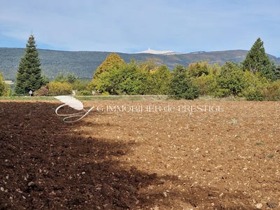 /international/fr/sault-provence-alpes-cote-d-azur-310103266249/