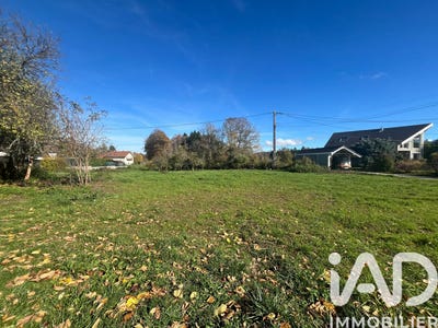 /international/fr/arbusigny-rhone-310104061688/