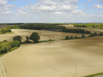 /international/fr/beaumont-de-lomagne-midi-pyrenees-310099917456/