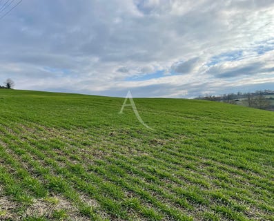 /international/fr/l-isle-jourdain-charente-310104462239/