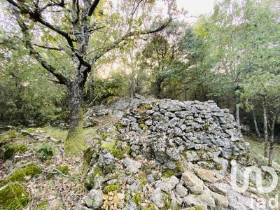 /international/fr/cabris-provence-alpes-cote-d-azur-310102110896/