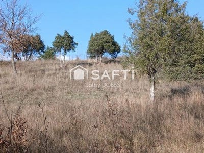 /international/fr/montagnac-montpezat-provence-alpes-cote-d-azur-310106287808/
