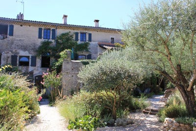 /international/fr/cardet-corsica-310100288789/