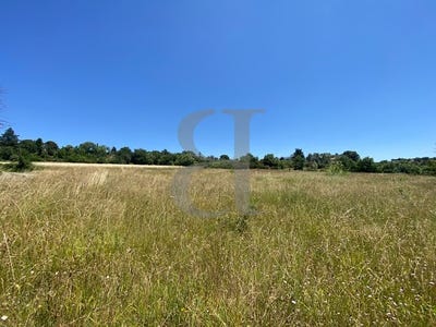 /international/fr/vaison-la-romaine-provence-alpes-cote-d-azur-310101469756/