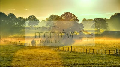 /international/fr/saint-fiacre-sur-maine-pays-de-la-loire-310105408665/