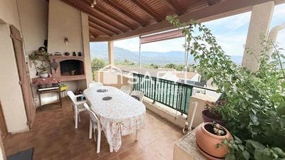 /international/fr/afa-corsica-310101487845/