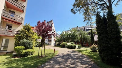 /international/fr/strasbourg-alsace-310108376275/