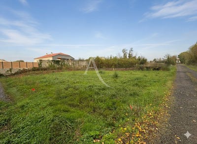 /international/fr/le-fenouiller-pays-de-la-loire-310104468414/