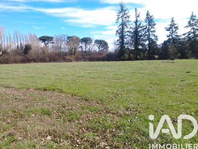 /international/fr/campagne-d-armagnac-midi-pyrenees-310104931590/