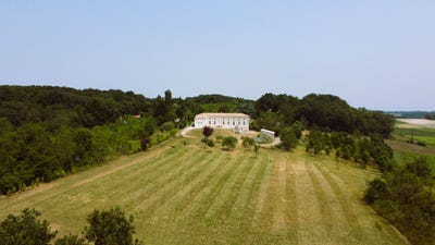 /international/fr/mirambeau-charente-310107560454/