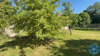 /international/fr/wasselonne-alsace-310106834513/