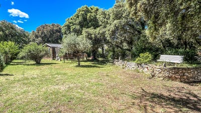 /international/fr/saint-siffret-languedoc-roussillon-310109090036/