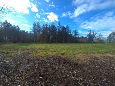 /international/fr/vacquiers-midi-pyrenees-310105625555/