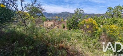 /international/fr/caramany-languedoc-roussillon-310104592201/