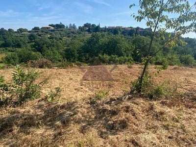 /international/fr/saint-paul-le-jeune-rhone-310100576663/