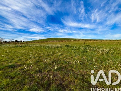 /international/fr/limoux-languedoc-roussillon-310106966391/