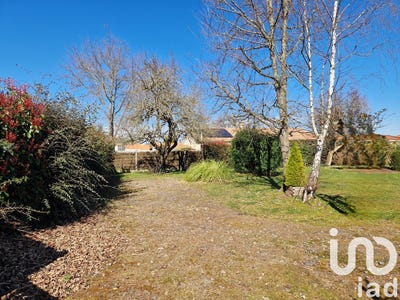 /international/fr/le-fenouiller-pays-de-la-loire-310099212842/