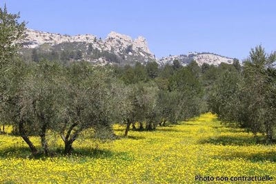 /international/fr/eygalieres-provence-alpes-cote-d-azur-310109205015/
