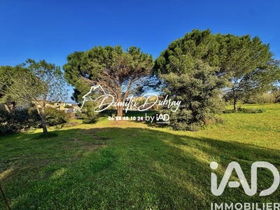 /international/fr/bizanet-languedoc-roussillon-310106707064/