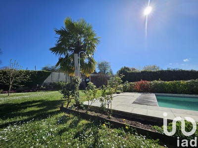 /international/fr/saint-martin-de-bavel-rhone-310098803356/