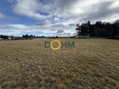 /international/fr/saint-pal-de-mons-auvergne-310105749409/