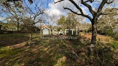 /international/fr/lanton-aquitaine-310105369320/