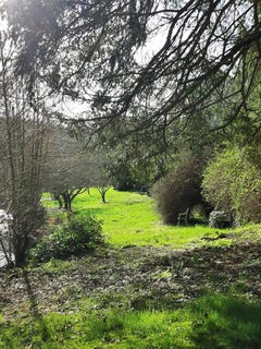 /international/fr/la-chatre-langlin-centre-val-de-loire-310109927033/