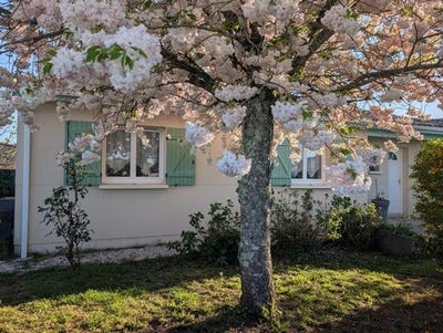 /international/fr/saint-quentin-de-baron-aquitaine-310105371786/