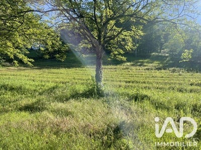 /international/fr/terrasson-lavilledieu-aquitaine-310109044586/