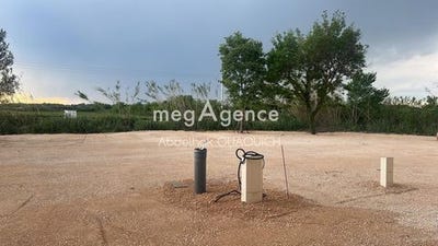 /international/fr/saliers-arles-provence-alpes-cote-d-azur-310103139667/