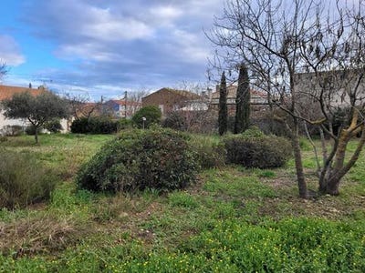 /international/fr/ferrals-les-corbieres-languedoc-roussillon-310108779125/
