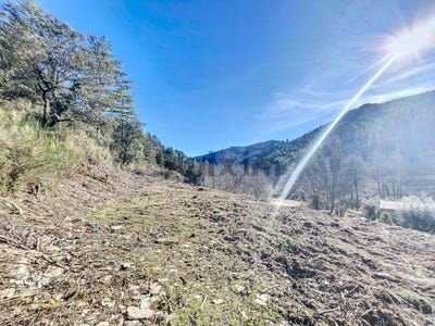 /international/fr/genolhac-languedoc-roussillon-310102954369/