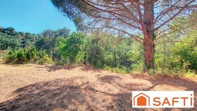 /international/fr/montesquieu-des-alberes-languedoc-roussillon-310105969318/