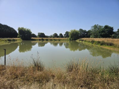 /international/fr/pannece-pays-de-la-loire-310109071916/