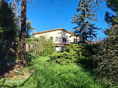 /international/fr/l-isle-jourdain-charente-310106738759/