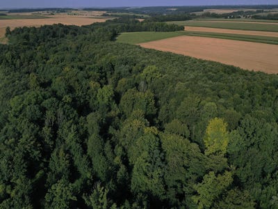/international/fr/arras-calais-310105914702/
