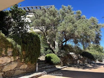 /international/fr/bastia-corsica-310101380028/