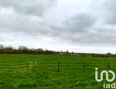 /international/fr/la-chapelle-launay-pays-de-la-loire-310101082409/