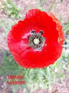 /international/fr/l-huisserie-pays-de-la-loire-310106997353/