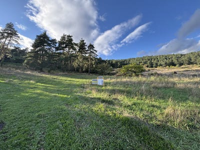 /international/fr/vinzieux-rhone-310109130808/