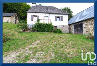 /international/fr/pandrignes-limousin-310101206270/