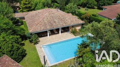 /international/fr/messanges-burgundy-310108212436/