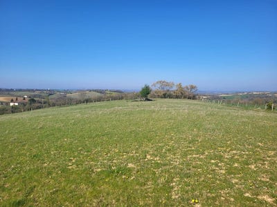 /international/fr/pebees-midi-pyrenees-310107598545/