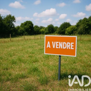 /international/fr/palaiseau-ile-de-france-310106686731/